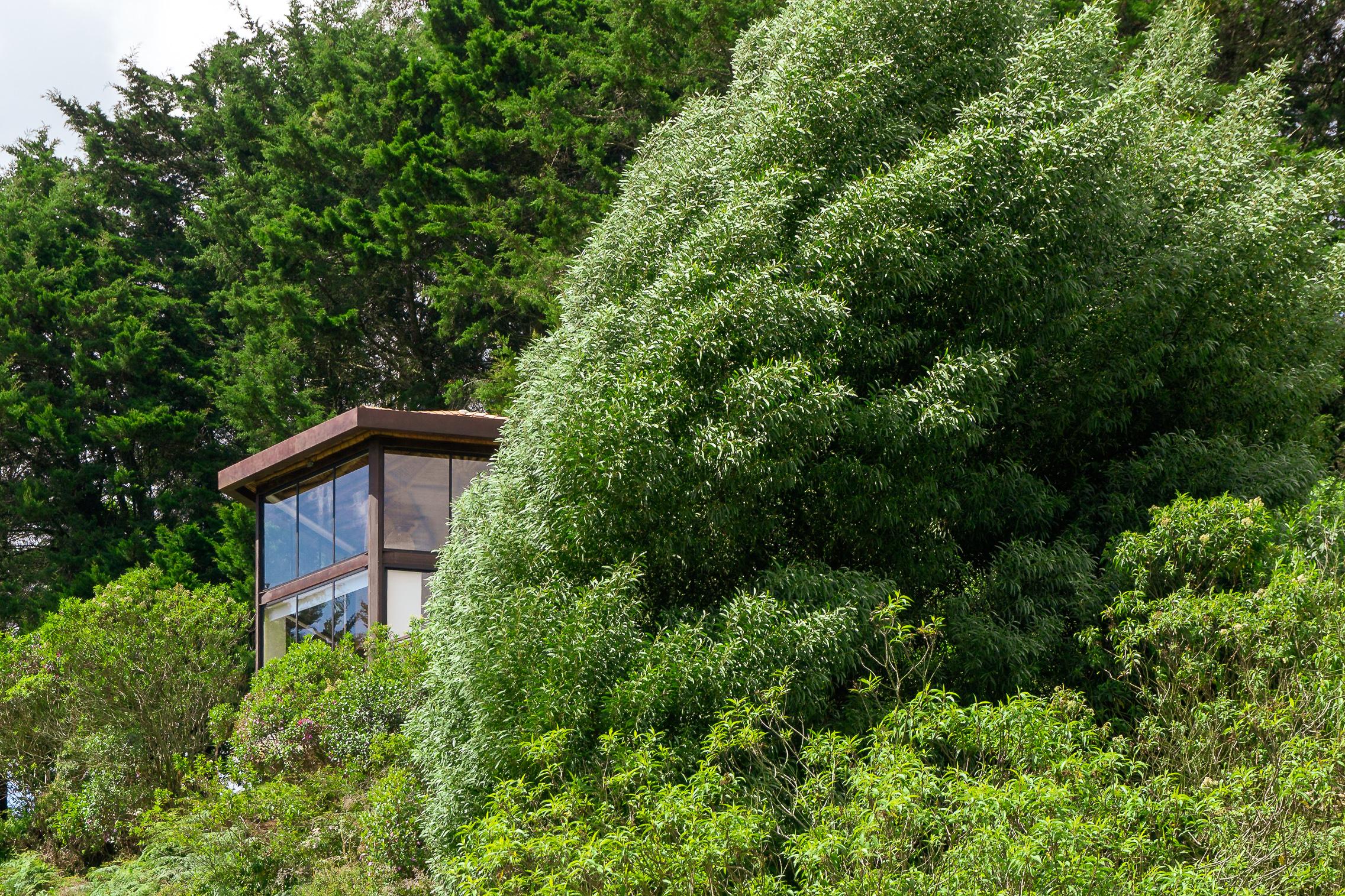 Cannúa Lodge Marinilla Exterior foto
